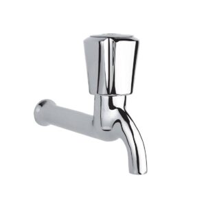 شیر دنباله بلند راسان