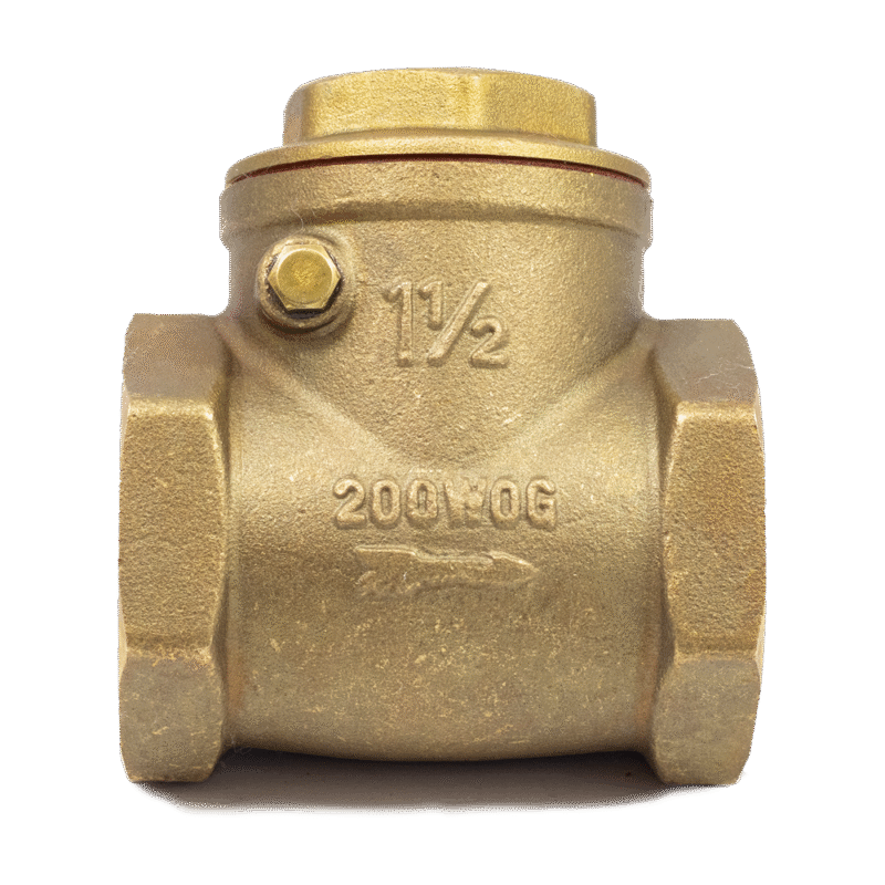 FVSC40 Wing Check Valve 1 12in 2